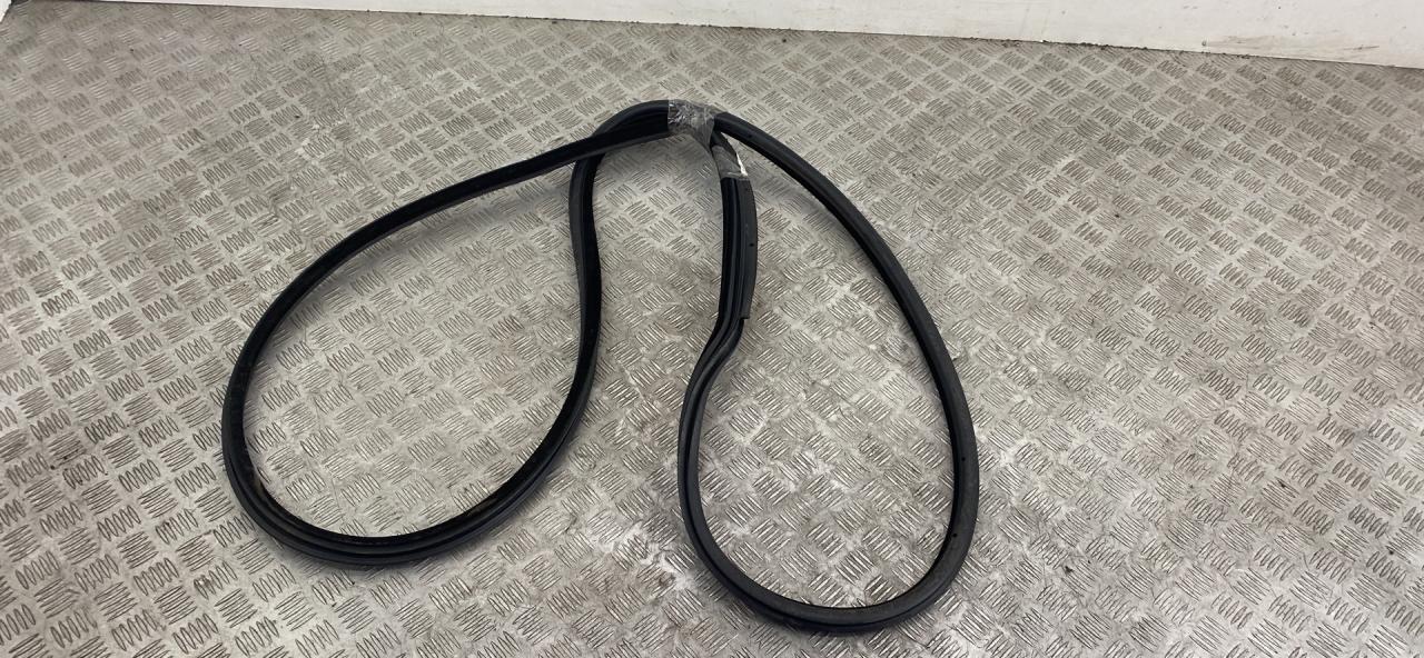 уплотнитель двери BMW 3 серия E90/E91/E92/E93 E92 2007, 3.5 л., M57D30 (306D5), дизель, АКПП, купе, задний привод, правый руль, 7119092, 51767175784 - фото №1