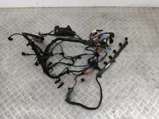 проводка двигателя BMW 5 серия E60/E61 [рестайлинг] 2009, 3.0 л., M57 D30 (306D3), дизель, АКПП, spacegrau metallic (a52), универсал, задний привод, правый руль, 12517803362