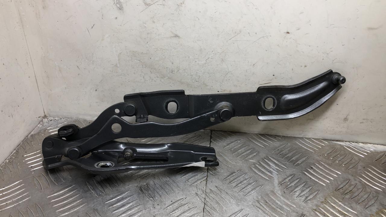 петля крышки багажника BMW 3 серия E90/E91/E92/E93 2007, 3.5 л., M57D30 (306D5), дизель, АКПП, spacegrau metallic (a52), купе, задний привод, правый руль, 7060627, 41627210675 - фото №1