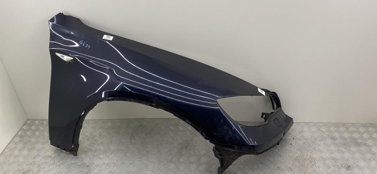 крыло переднее правое BMW X6 E71/E72 E71 2009, 3.5 л., M57D30 (306D5), дизель, АКПП, monacoblau (a35), внедорожник 5 дв., полный привод, правый руль, 51657052424 - фото №1