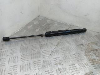 амортизатор капота BMW X6 E71/E72 E71 2009, 3.5 л., M57D30 (306D5), дизель, АКПП, monacoblau (a35), внедорожник 5 дв., полный привод, правый руль, 7148346, 51237148346