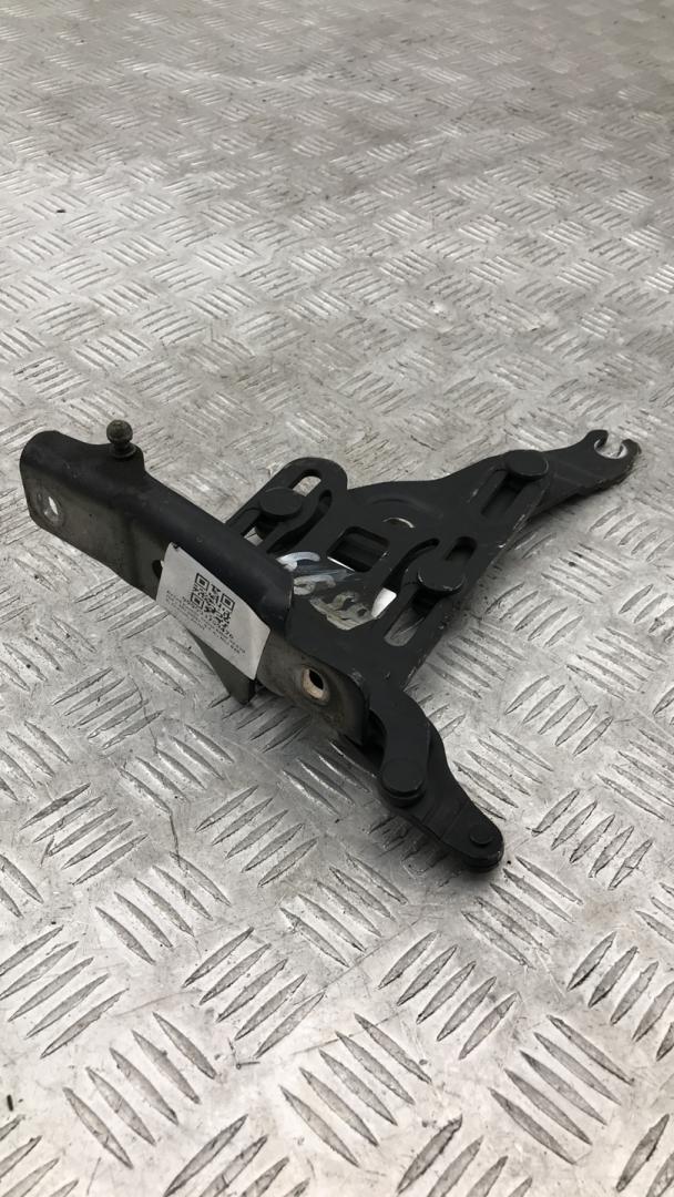 петля капота левая BMW X5 E70 2008, 4.8 л., N62 B48 B, бензин, АКПП, черный schwarz 2 (668), внедорожник 5 дв., 41007198617, 7148347 - фото №1