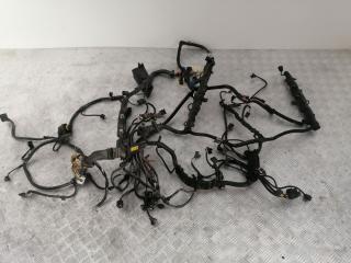 проводка двигателя BMW 5 серия F07/F10/F11 [рестайлинг] F10 2013, 4.4 л., N63 B44 A, бензин, АКПП, черный black-sapphire metallic, седан, полный привод, 12517614896, 12517638769