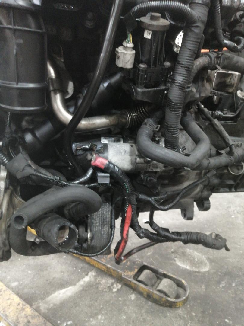 стартер Ford Transit 7 поколение 2011, 2.2 л., P8FA, дизель - фото №1