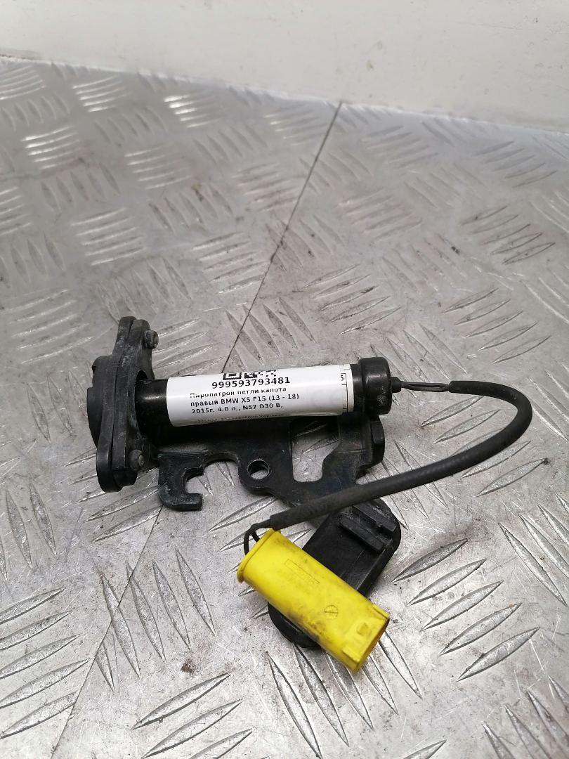 пиропатрон петли капота BMW X5 F15 2015, 4.0 л., дизель, АКПП, black sapphire metallic (475), внедорожник 5 дв., полный привод, правый руль, 51237326020, 7326020 - фото №1