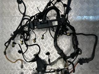 проводка двигателя BMW X5 E70 2010, 3.0 л., M57 D30 (306D5), дизель, 7803681
