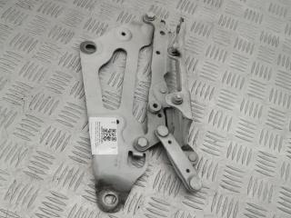 петля капота правая BMW 5 серия F07/F10/F11 2012, 2.0 л., N47 D20 C, дизель, АКПП, alpinweiß iii (300), хетчбэк 5 дв., задний привод, правый руль, 41617229636, 7046324