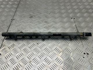 топливная рампа BMW 5 серия E39 [рестайлинг] E39 2003, 3.0 л., M57 D30 (306D1), дизель, АКПП, задний привод, 0445216002, 0445216