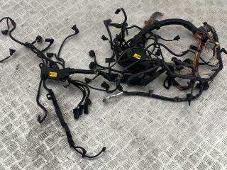 проводка двигателя BMW X6 E71 [рестайлинг] E71 2012, 4.4 л., N63 B44 A, бензин, АКПП, titansilber metallic (354), внедорожник 5 дв., полный привод, 7619596