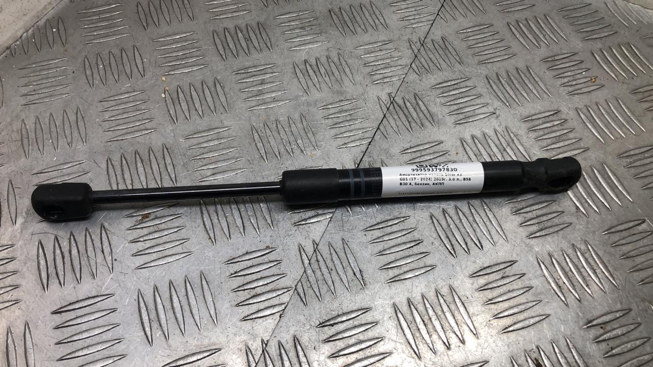 амортизатор капота BMW X3 G01 2019, 3.0 л., B58 B30 A, бензин, АКПП, brillanteffekt metallic (a90), внедорожник 5 дв., полный привод, правый руль, 51237397494 - фото №1