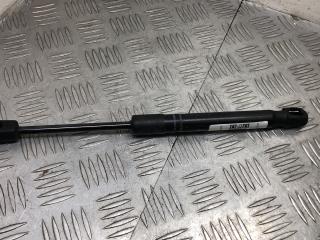 амортизатор капота BMW X3 G01 2019, 3.0 л., B58 B30 A, бензин, АКПП, brillanteffekt metallic (a90), внедорожник 5 дв., полный привод, правый руль, 51237397494