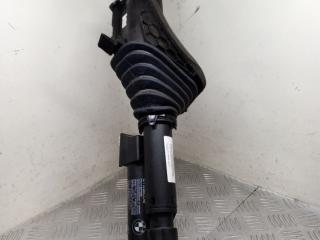 амортизатор крышки багажника (3-5 двери) BMW 4 серия F32/F33 [рестайлинг] F36 2019, 2.0 л., B47 D20 A, дизель, АКПП, лифтбэк, полный привод, 51247432376, 7432376