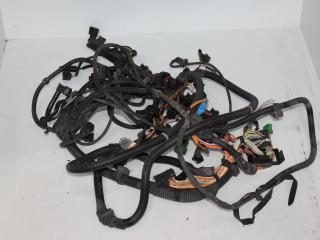 проводка двигателя BMW X3 E83 [рестайлинг] E83 2008, 3.0 л., N52 B30, бензин, внедорожник 5 дв.