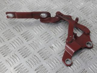 петля капота BMW 3 серия E90/E91/E92/E93 [рестайлинг] 2008, 3.5 л., дизель, красный, купе, 7115264