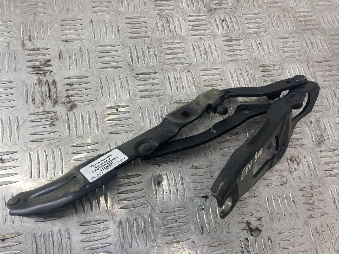 петля крышки багажника BMW 3 серия E90/E91/E92/E93 2007, седан, 7060627 - фото №1