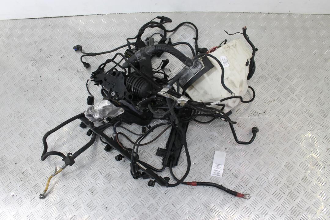 проводка двигателя BMW 3 серия E90/E91/E92/E93 2007, 3.5 л., M57D30 (306D5), дизель, купе, правый руль, 12517799736 - фото №1