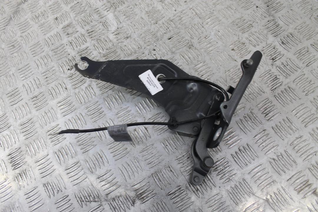 петля капота правая BMW X5 E70 2007, 3.0 л., M57 D30 (306D3), дизель, правый руль, 41007198618 - фото №1