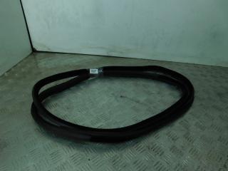 уплотнитель двери BMW X5 E70 2007, 3.0 л., M57 D30 (306D3), дизель, правый руль, 51767220381, 7207222