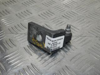 петля двери BMW 5 серия E60/E61 [рестайлинг] 2008, дизель, седан, 7068078