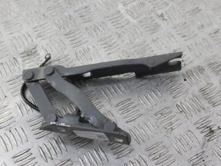 петля капота правая BMW 5 серия E60/E61 [рестайлинг] 2008, 2.0 л., N47 D20 A, дизель, МКПП, серый, седан, задний привод, 41617120276