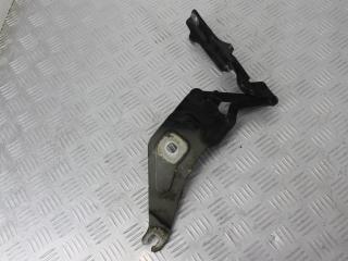 петля капота левая BMW X5 E70 [рестайлинг] 2012, 3.0 л., N57 D30 A, дизель, АКПП, black sapphire metallic (475), внедорожник 5 дв., полный привод, 7208627, 41007198617