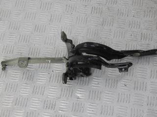 петля крышки багажника BMW 5 серия F07/F10/F11 2012, 2.0 л., дизель, универсал, 7206639