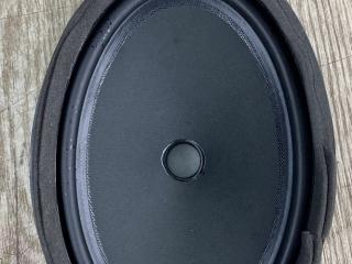 динамик двери Chevrolet Equinox 3 поколение 2018, 1.5 л., бензин, 84156556