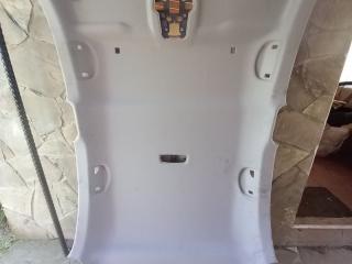 потолок Alfa Romeo Stelvio 1 поколение 2018, 2.0 л., бензин, 156129856, 156129846