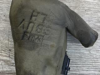 пыльник переднего крыла Buick Encore 1 поколение [рестайлинг] 2019, 1.4 л., бензин