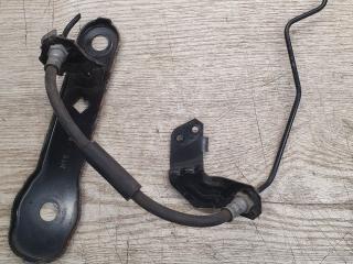 шланг тормозной заднего правого Alfa Romeo Giulia 2 поколение 2018, 2.0 л., бензин, АКПП, полный привод