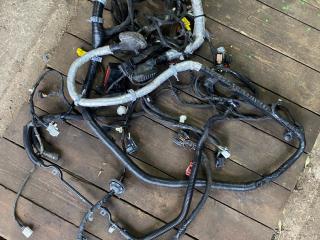 проводка двигателя Ford Mustang 6 поколение S550 2017, 5.0 л., бензин, АКПП, GR3T14290G281T, GR3T14290