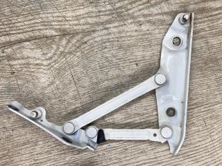 петля крышки багажника Infiniti M Y51 2013, 3.7 л., VQ37VHR, бензин, АКПП, (qaa) white 3p, седан, задний привод