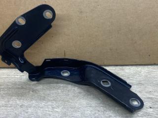 петля капота Porsche Cayenne 958 [рестайлинг] 2016, 3.0 л., дизель, правый руль, 7P5823302