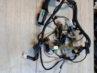 дверная проводка Nissan Murano Z51 2008, 3.5 л., VQ35DE, бензин, вариатор, внедорожник 5 дв., полный привод, 241251AA1B