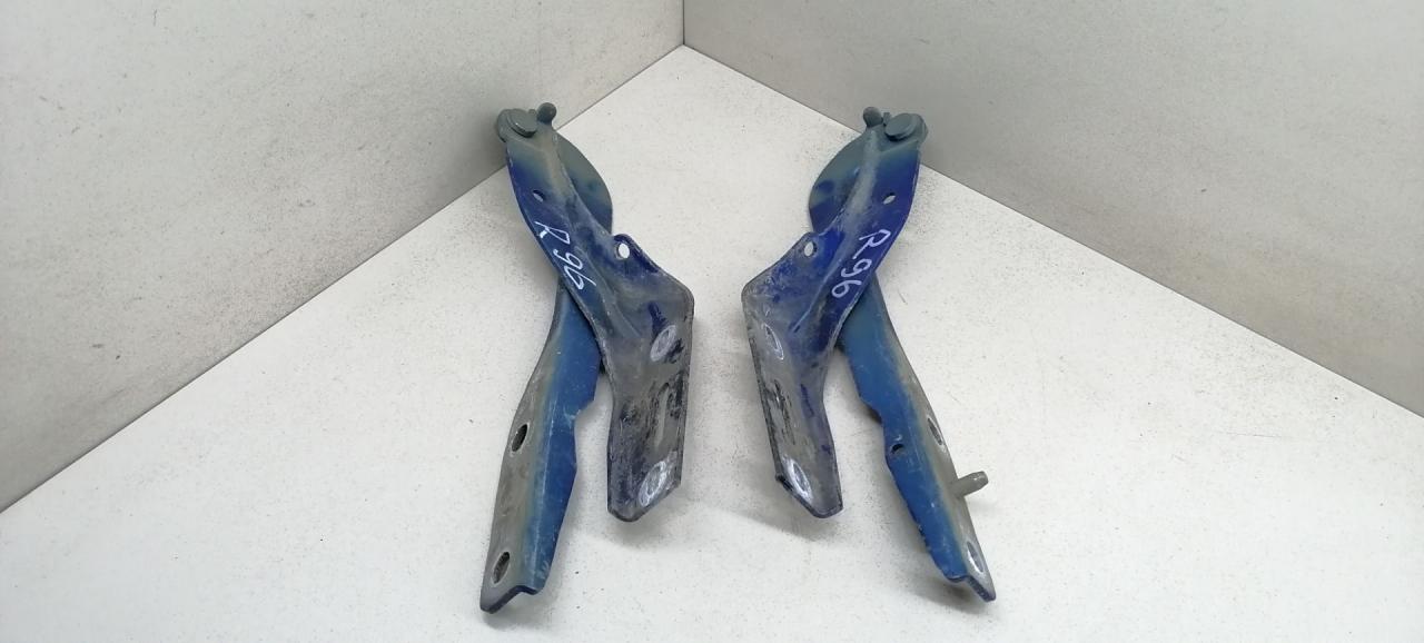 петля капота Peugeot 307 1 поколение 2001, 2.0 л., HDi, дизель, 5МКПП, синий, хетчбэк 5 дв., передний привод - фото №1