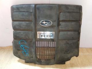 декоративная крышка двигателя Subaru Tribeca 1 поколение 2006, 3.0 л., i, EZ30, бензин, АКПП, коричневый, внедорожник 5 дв., полный привод, 14025AA24