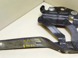 петля капота левая Volkswagen Passat B6 2008, 2.0 л., i, BPY, бензин, АКПП, серый, седан, передний привод