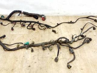 проводка двигателя Ford Expedition 2 поколение U222 2004, 4.6 л., i, бензин, АКПП, синий, внедорожник 5 дв., полный привод