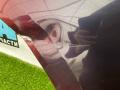 дверь задняя правая Tesla Model Y 1 поколение 2022, электро, белый - фото №9