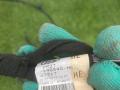 проводка Ford Mustang 7 поколение S650 2024, 2.3 л., бензин, АКПП, черный, купе, задний привод, PR3T-14G540-HE - фото №5