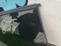 стекло кузовное боковое правое Ford Mustang 7 поколение S650 2024, 2.3 л., бензин, АКПП, черный, купе, задний привод, PR3B-C29700-AE - фото №2