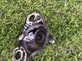 кронштейн (крепление) Ford Explorer 6 поколение U625 2021, 2.3 л., бензин, АКПП, внедорожник 5 дв., задний привод - фото №3