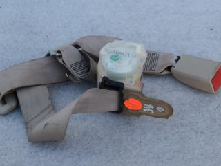 ремень безопасности Toyota Solara 2 поколение XV30 2004, 3.3 л., бензин, АКПП, купе, C054040A4210