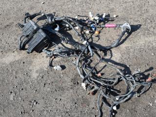проводка двигателя Toyota Camry 6 поколение XV30 2003, 2.4 л., VVT-i, 2AZ-FE, бензин, АКПП, серый, седан