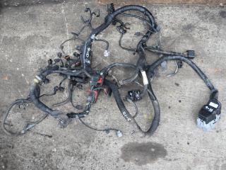 проводка двигателя Volvo XC70 3 поколение [рестайлинг] 2015, 2.4 л., D5, D 5244 T20, дизель, АКПП, универсал, полный подключаемый привод, 31394662