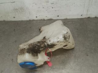 бачок омывателя Audi A4 B5 1996, 1.8 л., ADR, бензин, черный, седан