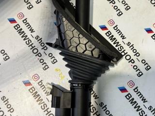 амортизатор крышки багажника (3-5 двери) BMW 4 серия F32/F33 [рестайлинг] F36 2018, 2.0 л., B48 B20 B, бензин, АКПП, snapper rocks blau metallic c1g, купе, задний привод, правый руль, 7432376