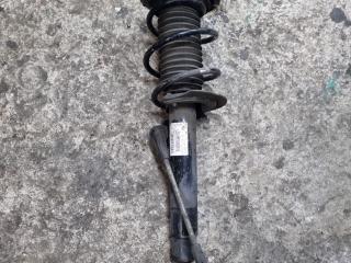 амортизатор передний правый BMW 4 серия F32/F33 [рестайлинг] F32 2018, 2.0 л., B47 D20 A, дизель, АКПП, snapper rocks blau metallic c1g, купе, задний привод, правый руль, 31316883325