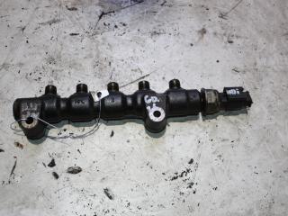 топливная рампа Citroen Berlingo 1 поколение (M59) [рестайлинг] 2008, 1.6 л., дизель