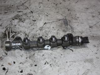 топливная рампа Opel Insignia 1 поколение (A) 2010, 2.0 л., дизель, 0445214221